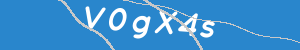 Introduzca el texto que aparece en la imagen